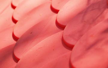 Drumelzier plastic roof costs