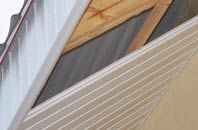 rated Drumelzier soffit repair companies